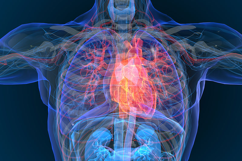 systemic holistic effects on health